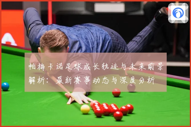 帕梅卡诺足球成长轨迹与未来前景解析：最新赛事动态与深度分析