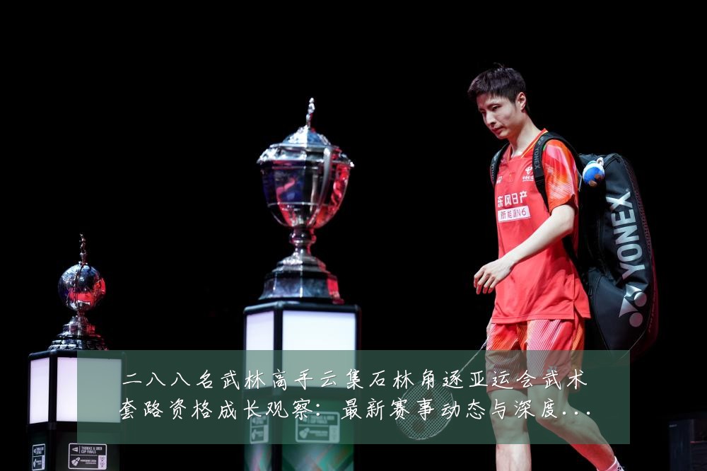 二八八名武林高手云集石林角逐亚运会武术套路资格成长观察:最新赛事动态与深度分析